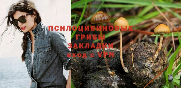 ECSTASY Магадан
