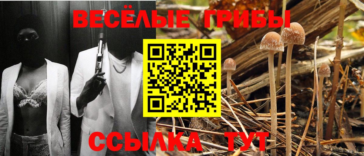 Псилоцибиновые грибы Magic Shrooms  Вход с VPN  Екатеринбург 